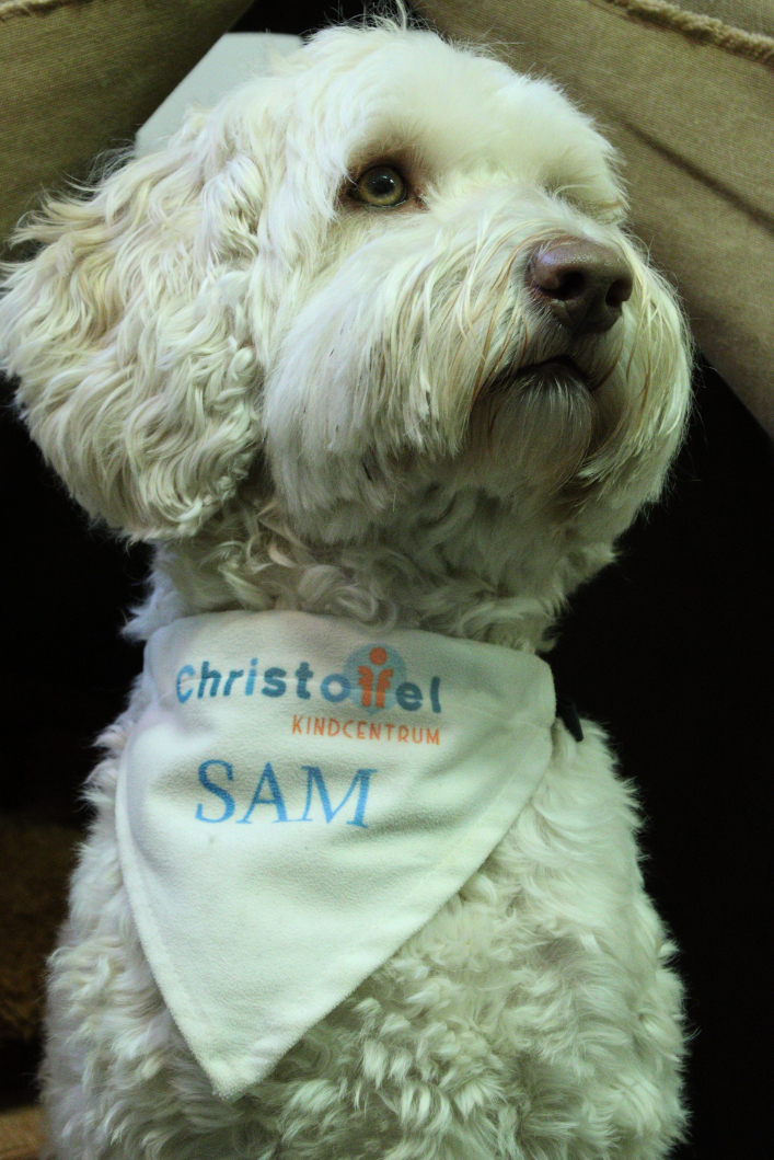 Schoolhond Sam