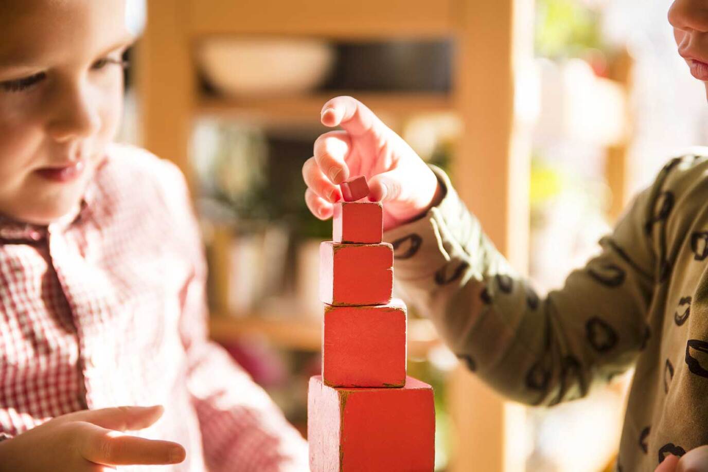 Montessorischool De Elzen Roze Toren