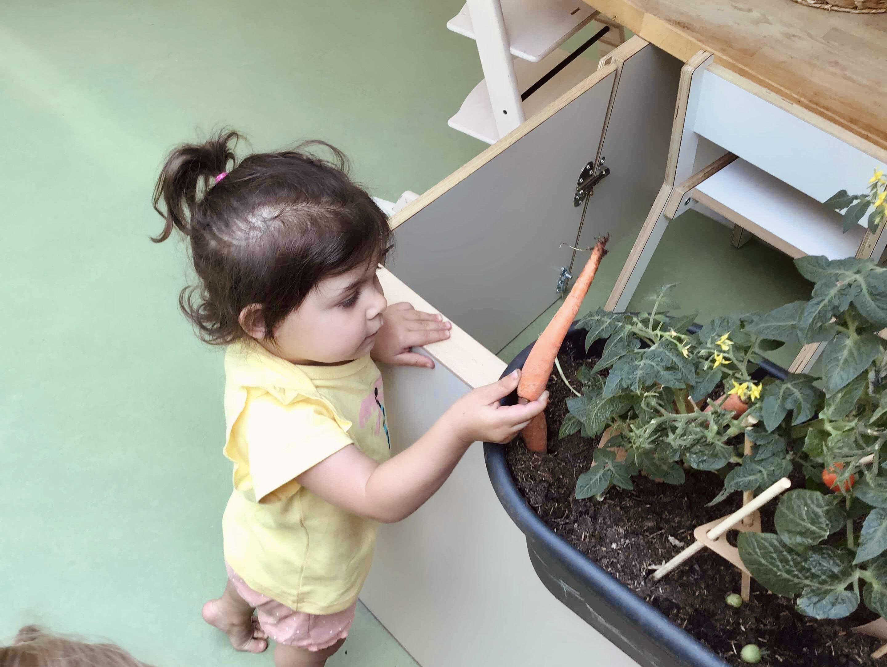 Kinderdagverblijf Floortje Nachtegaal