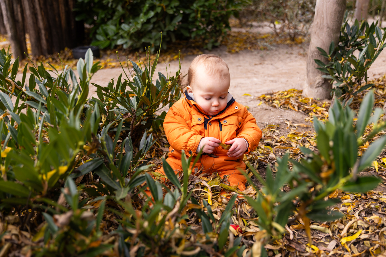 Spelen in de tuin