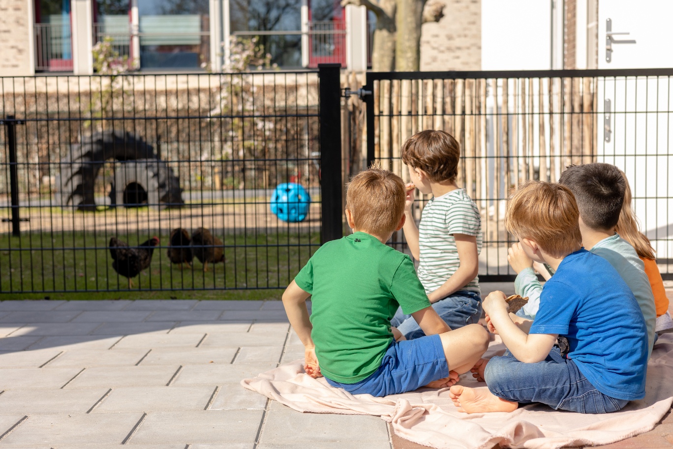 Picknicken op de boerderij bso