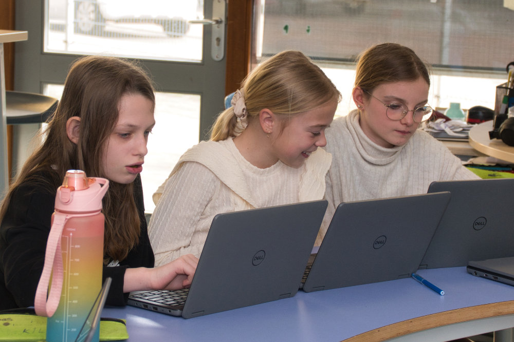 Werken op de laptops Meander