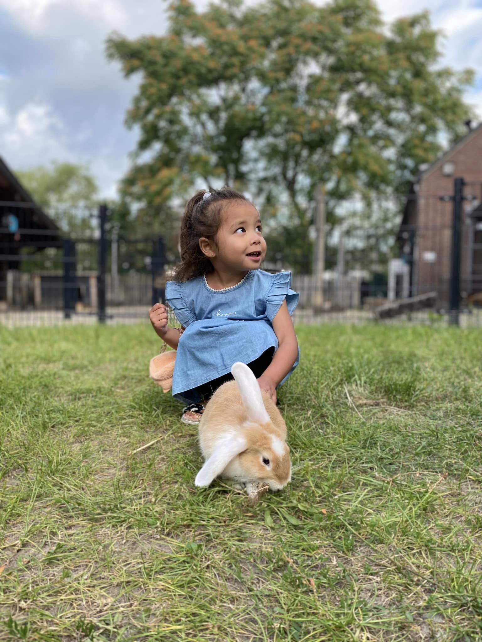 Reeshoeve kinderopvang