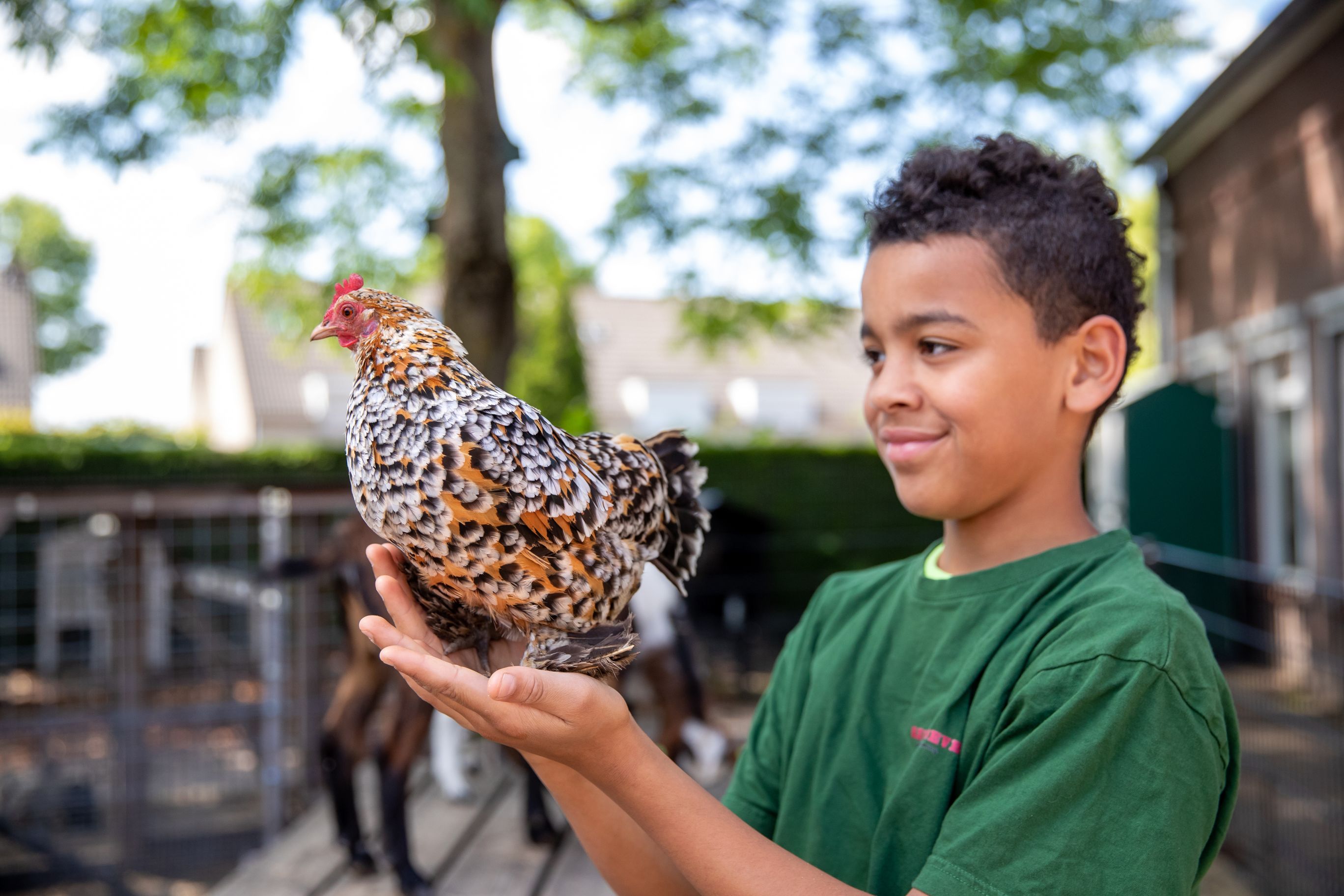 Boerderij BSO Reeshoeve