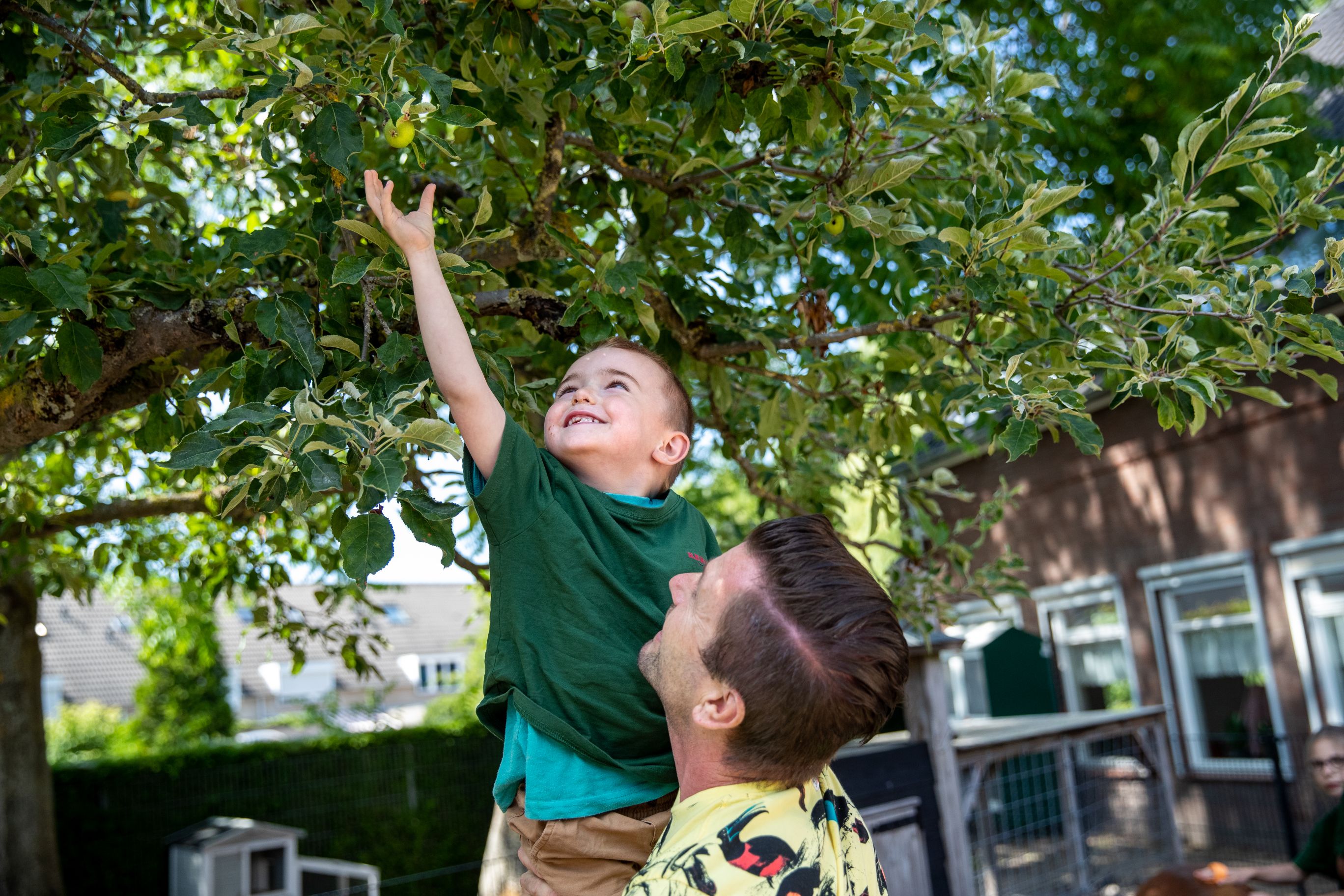 Appels plukken bij kinderopvang Reeshoeve