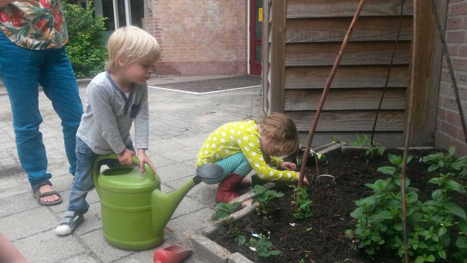 samenwerken 