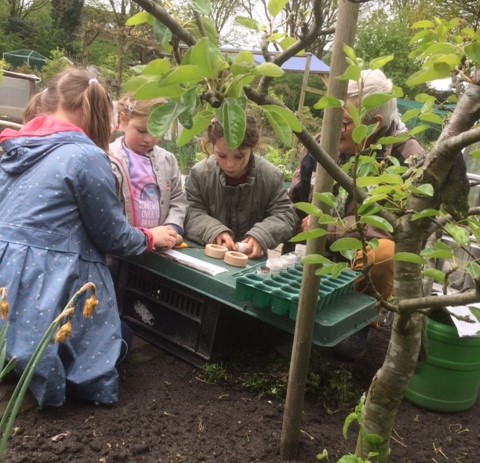 moestuin met zijn allen 2 