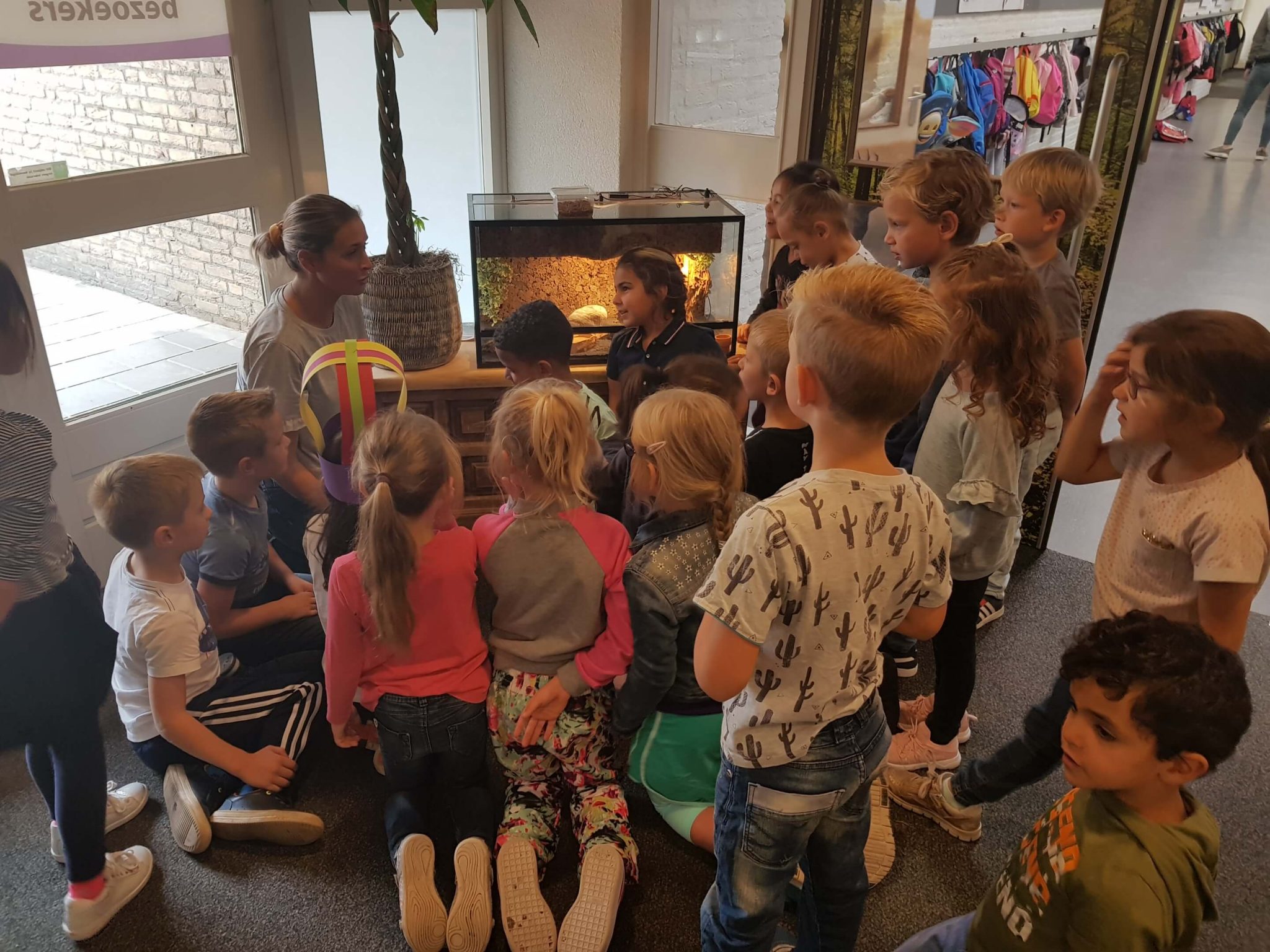 leerkracht terrarium