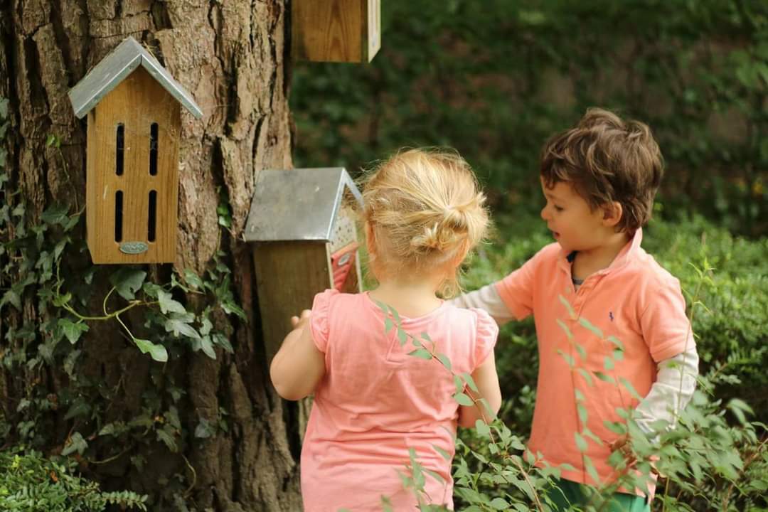 vogelhuisjes tuin