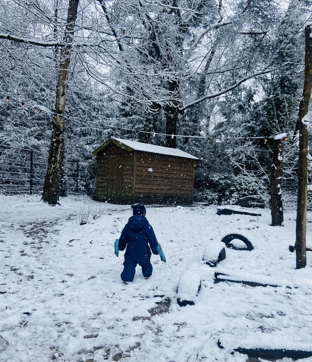 peuter bos sneeuw